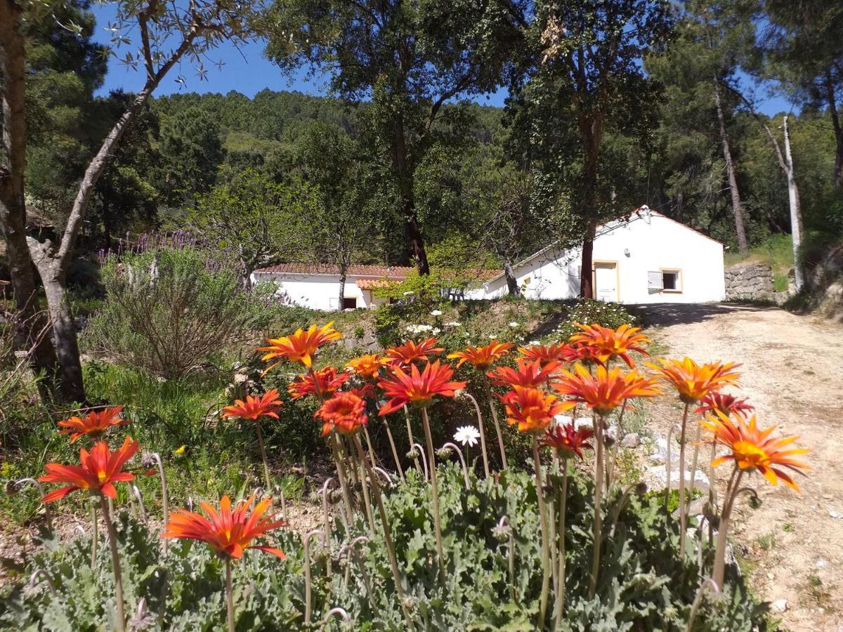 Quinta da Barroquinha Vale de Prazeres Exterior foto
