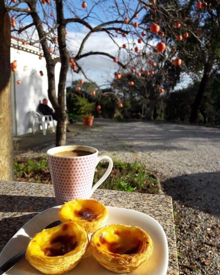 Quinta da Barroquinha Vale de Prazeres Exterior foto